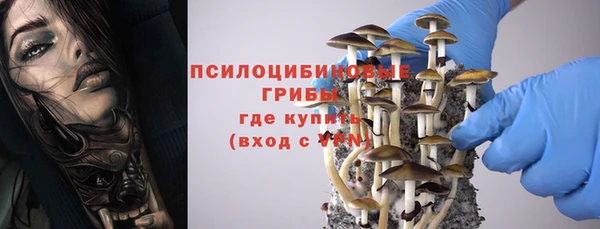 стаф Алексин