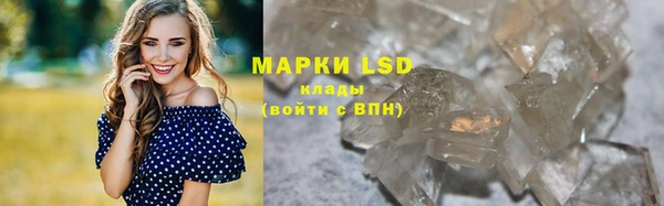 стаф Алексин