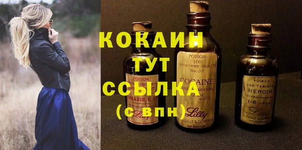стаф Алексин