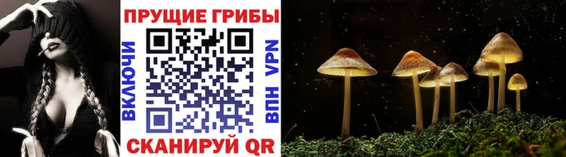 Галлюциногенные грибы Magic Shrooms  купить наркоту  Покров 